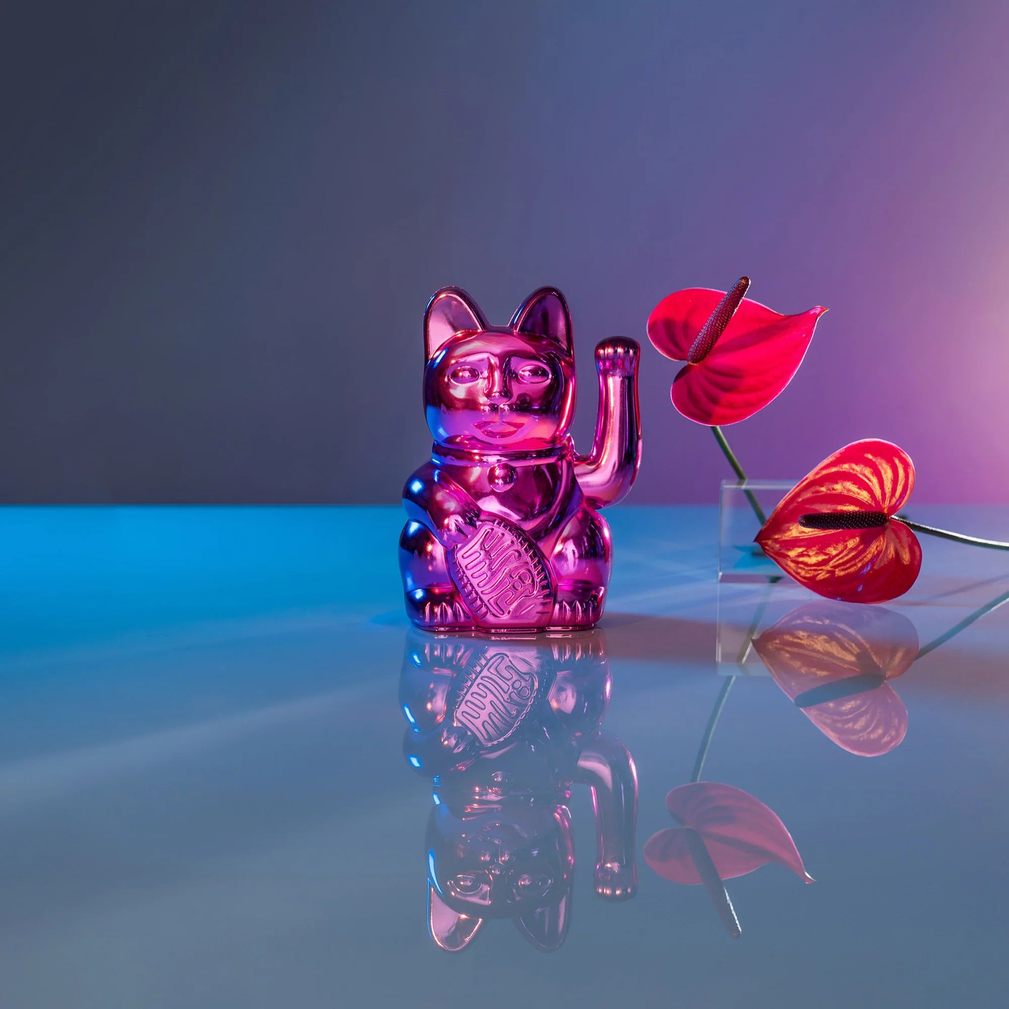 Winkekatze / Maneki Neko | Cosmic Edition - Venus Shiny Pink
