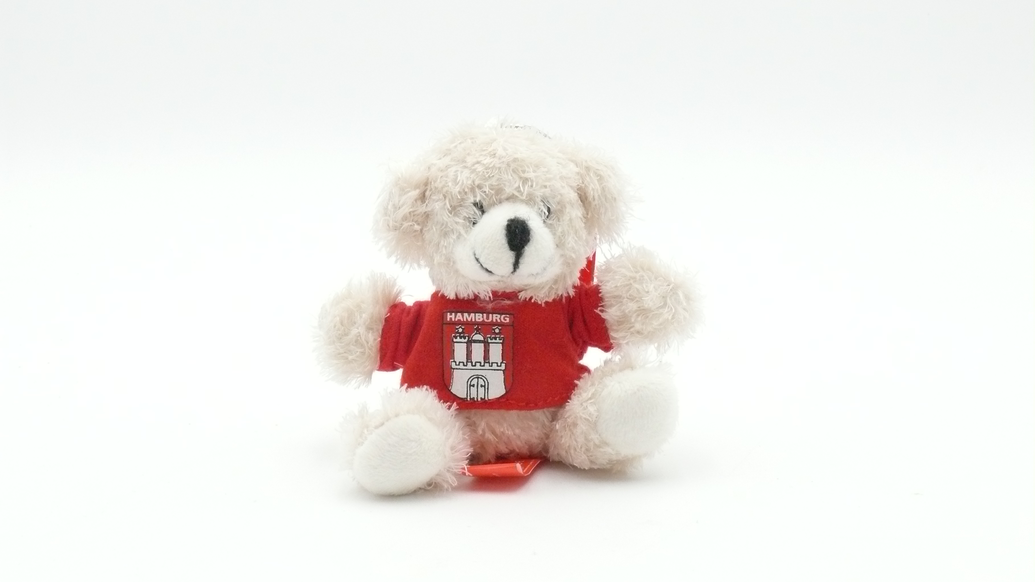 Teddy Bear Keychain "Hamburg"