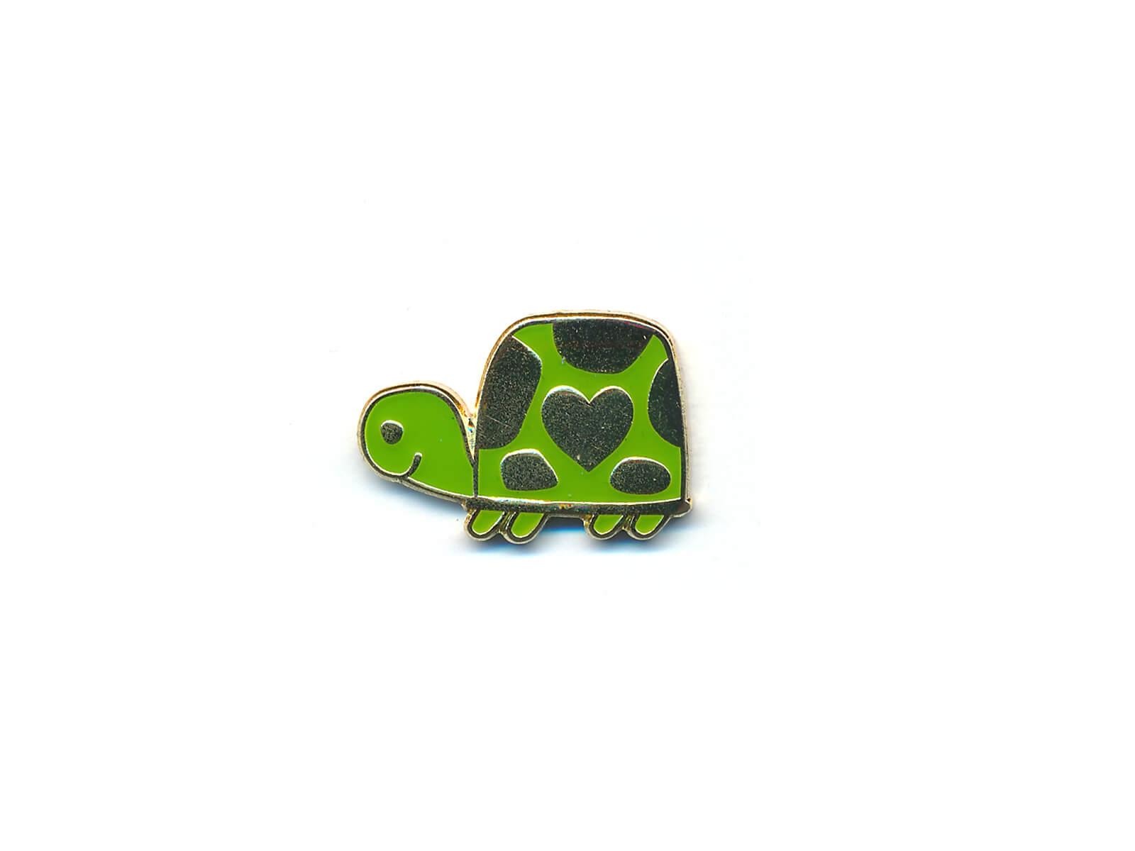 Magnet Schildkröte Magnet Schildkröte